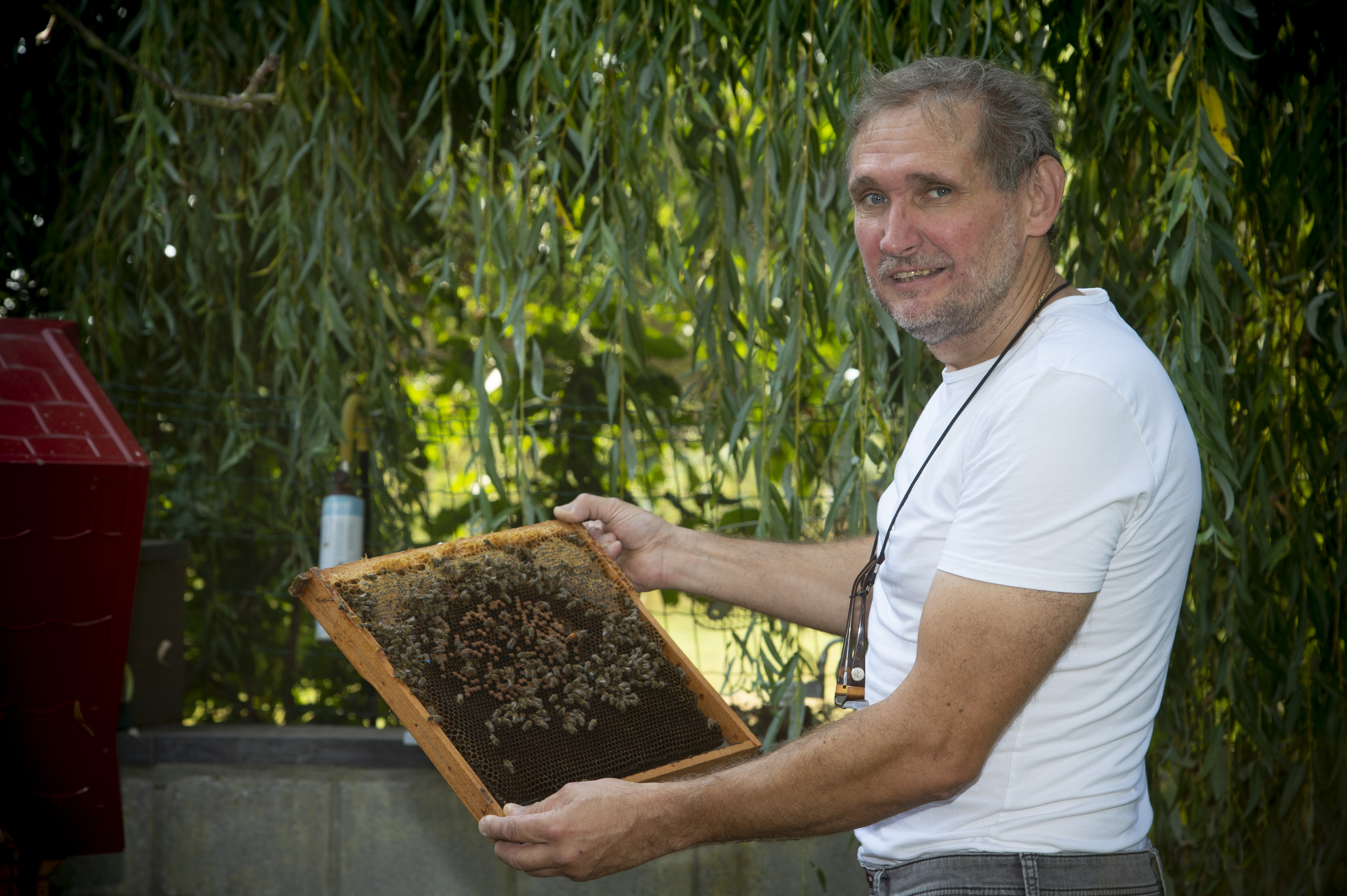 This image for Image Layouts addon